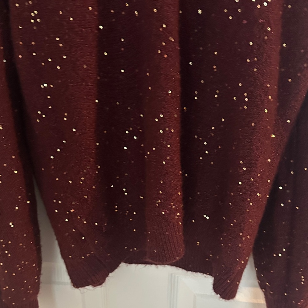 LOFT Burgundy V-Neck Sweater with Glitter Details - Picture 4 of 10